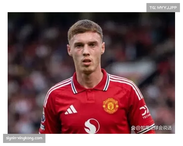 曼联考虑引进帕尔默 作为B费潜在离队替代方案